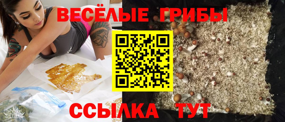 наркота  Вход с VPN  Галлюциногенные грибы Psilocybine cubensis  Барабинск  Галлюциногенные грибы прущие грибы 