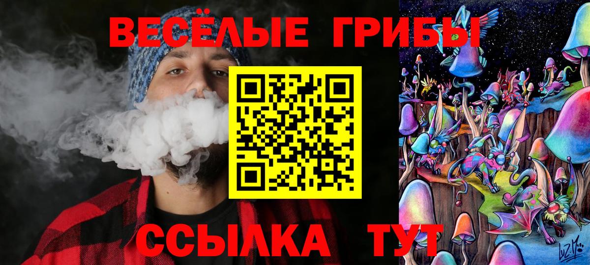 Галлюциногенные грибы мухоморы Барабинск